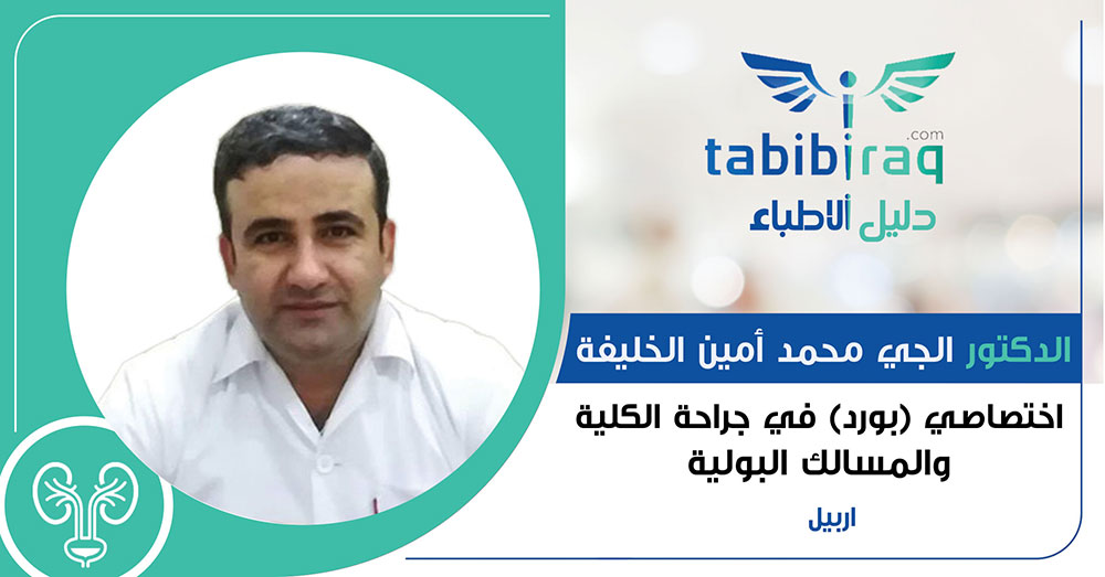 الدكتور الجي محمد أمين الخليفة