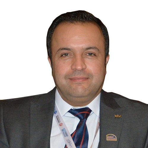 الدكتور اياد طه اللويزي