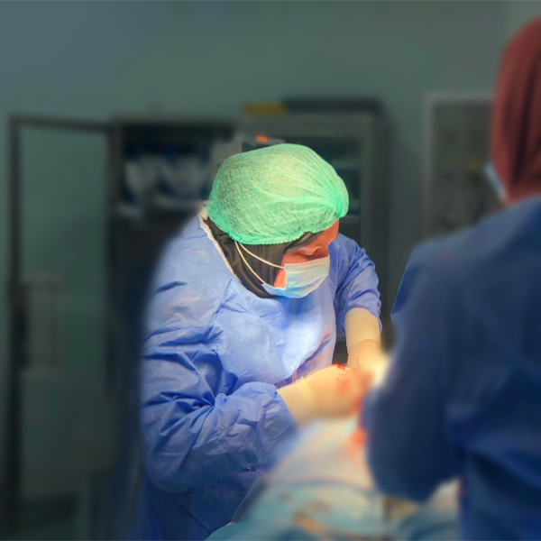 الدكتورة منال محمد الدباغ