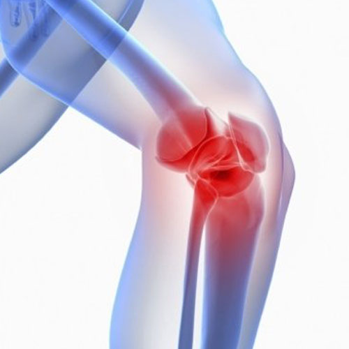 الدكتورة فادية عباس جبار النداوي