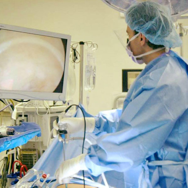 الدكتور ريناس امان فرمان الدكتور ريناس امان فرمان