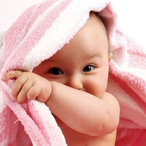 الدكتورة شذى صادق المراياتي