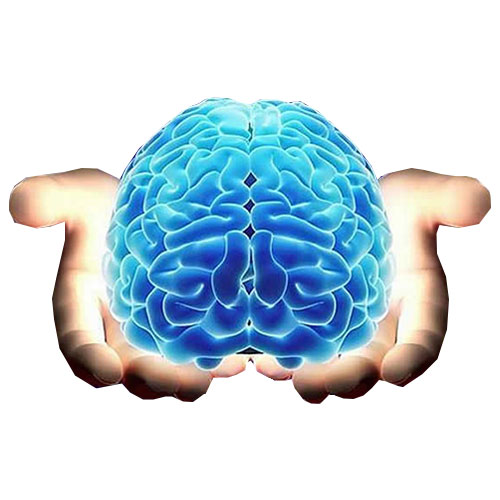 الدكتورة سروه سعيد خضر الدكتورة سروه سعيد خضر