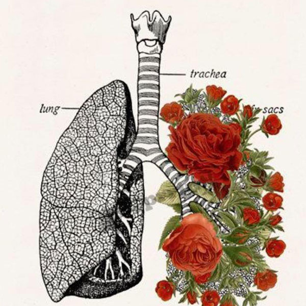 الدكتورة مينا عبد الستار درويش
